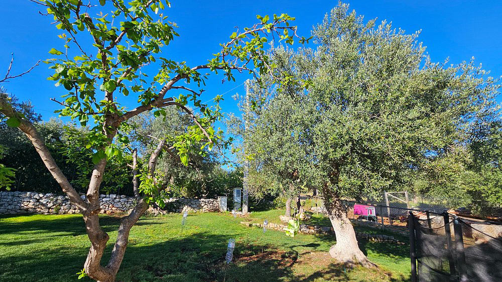 casale-petrarolo-monopoli1