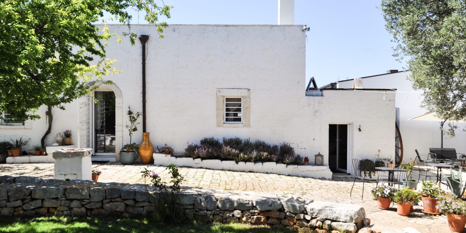 DSC_7206 copia
