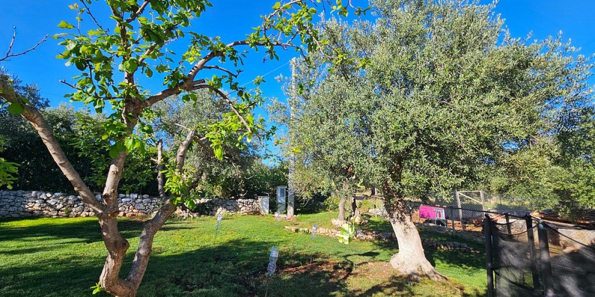 casale-petrarolo-monopoli1